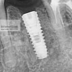 WhatsApp Image 2026-03-14 at 10.53.26 PM (3)